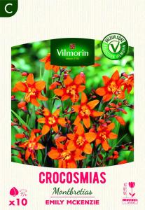 Montbrétia Crocosmia Emily McKenzie (x10)